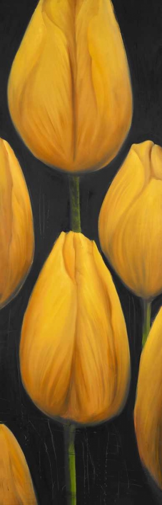 Wall Art Painting id:150982, Name: Six Daffodils Flowers, Artist: Atelier B Art Studio