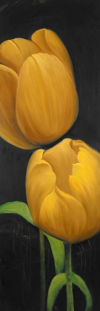 Wall Art Painting id:150983, Name: Two Daffodils Flowers, Artist: Atelier B Art Studio