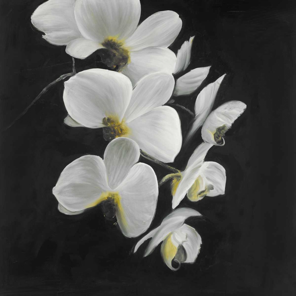 Wall Art Painting id:163042, Name: Beautiful Orchids, Artist: Atelier B Art Studio