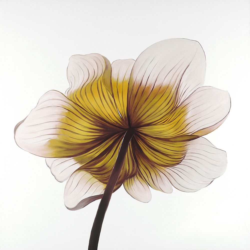 Wall Art Painting id:307305, Name: Beautiful anemone yellow flower, Artist: Atelier B Art Studio