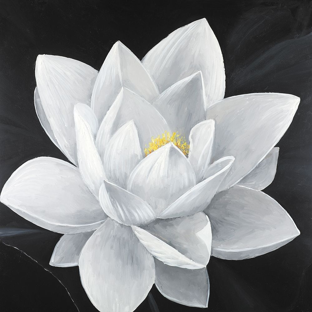 Wall Art Painting id:194046, Name: Overhead View of a Lotus Flower, Artist: Atelier B Art Studio