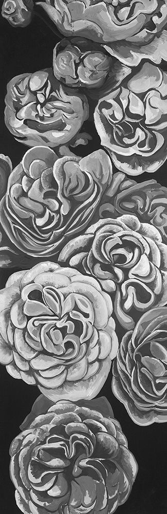 Wall Art Painting id:194054, Name: Grayscale Dahlias , Artist: Atelier B Art Studio