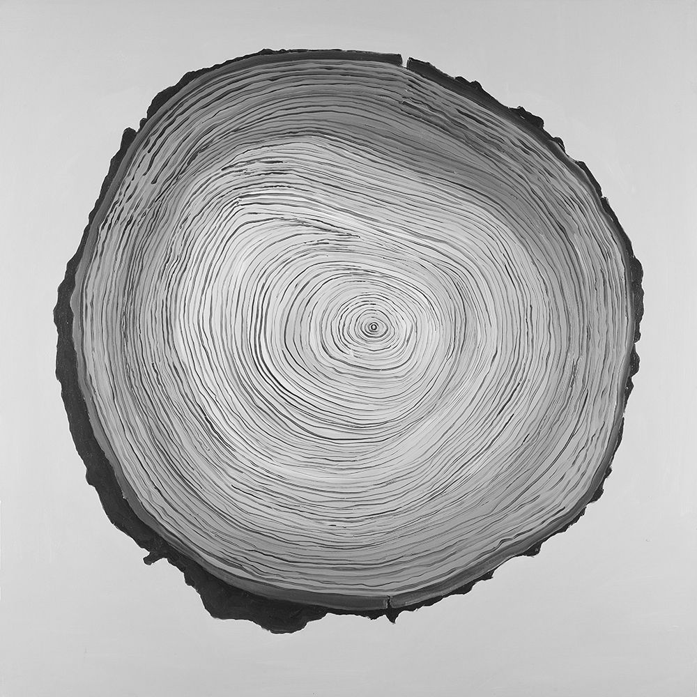 Wall Art Painting id:194093, Name: Grayscale Round Shaped Tree Slab, Artist: Atelier B Art Studio