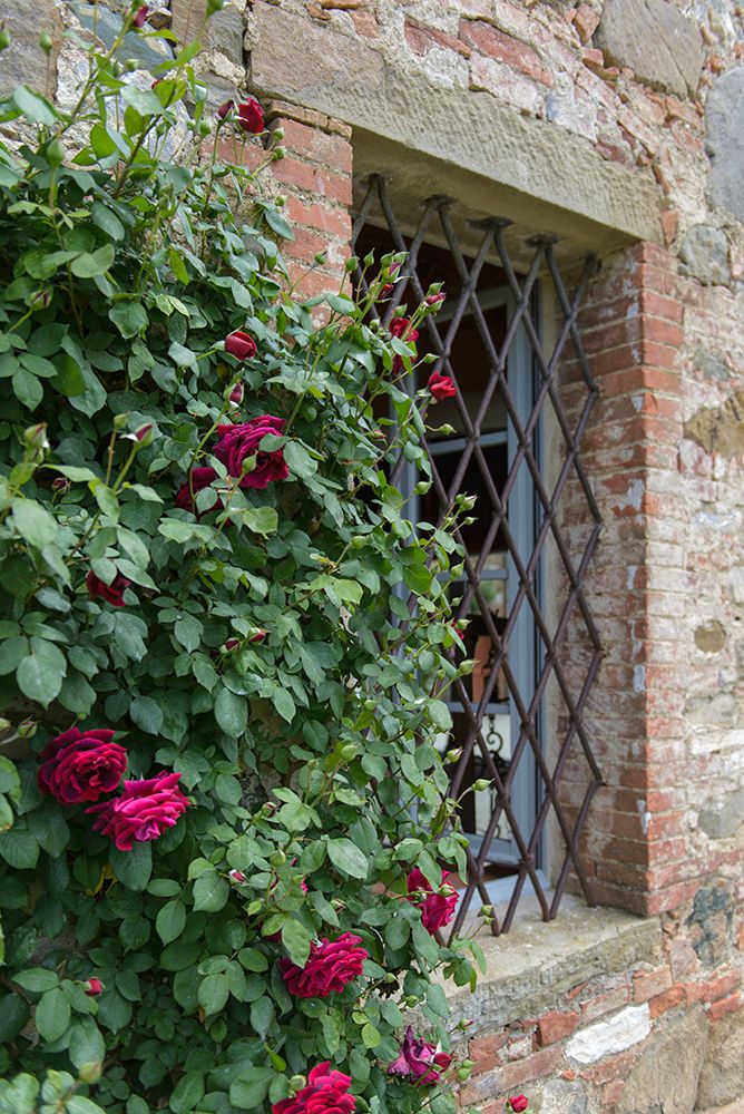 Similar wall art painting: 440347