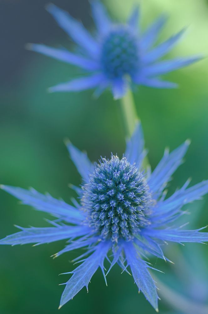 Similar wall art painting: 213519