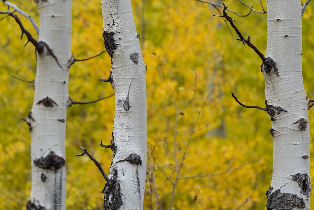 Similar wall art painting: 213531