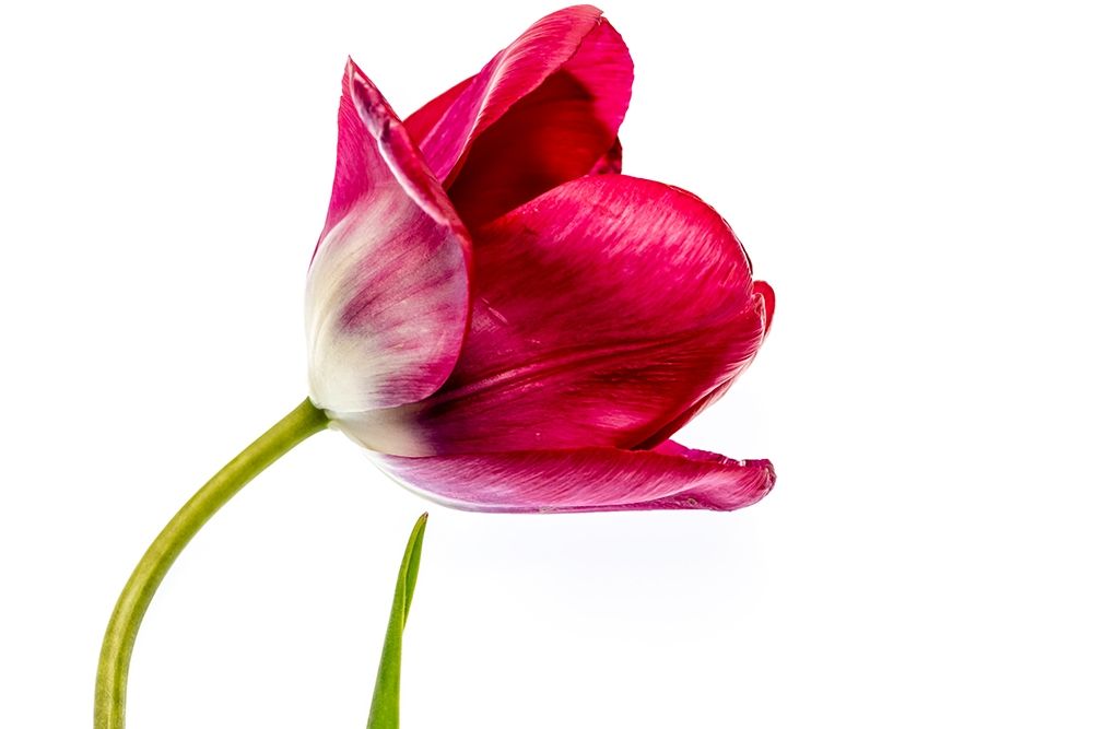 Similar wall art painting: 213543