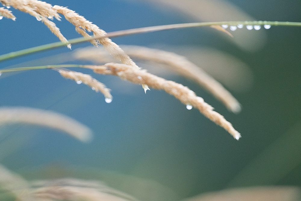 Similar wall art painting: 382674