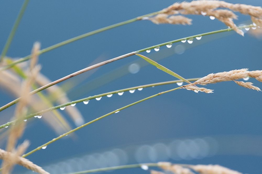 Similar wall art painting: 382675