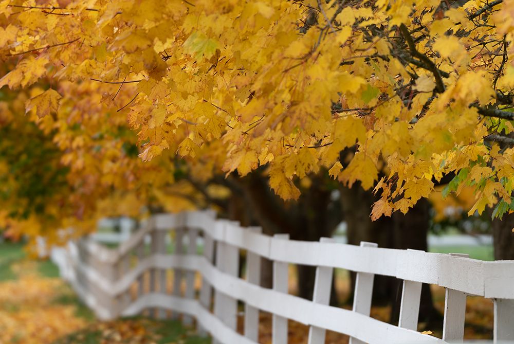 Similar wall art painting: 440373