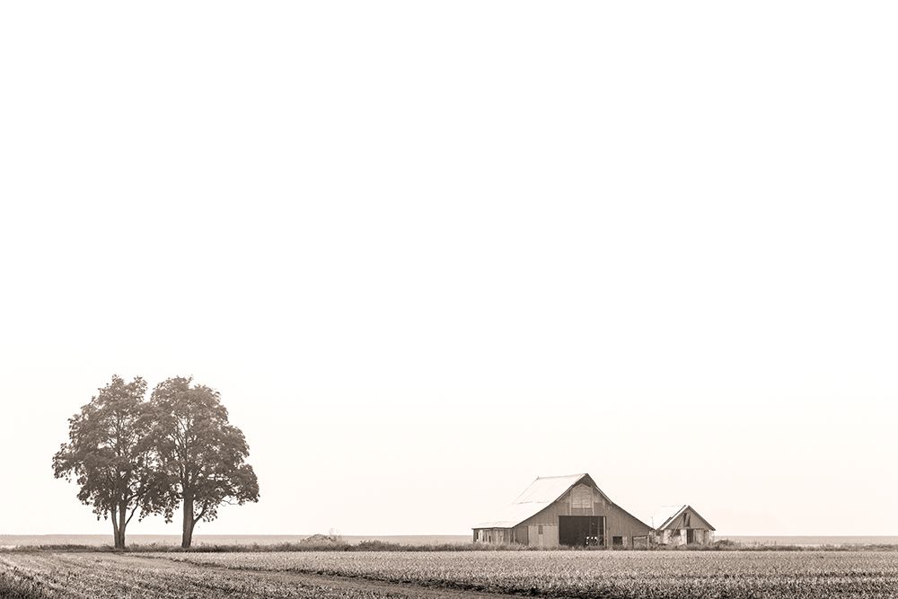 Similar wall art painting: 440375