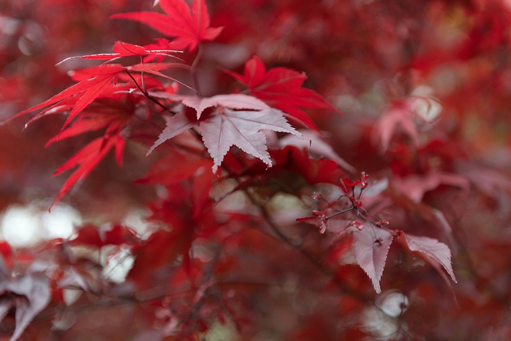 Similar wall art painting: 640027