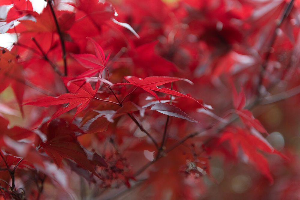 Similar wall art painting: 640028