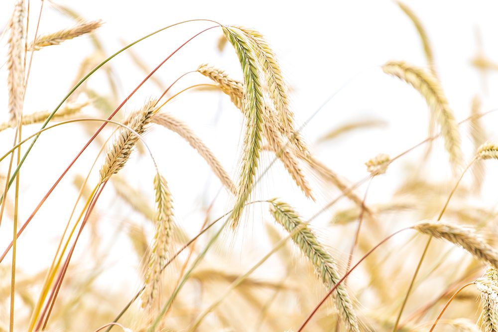 Similar wall art painting: 640031