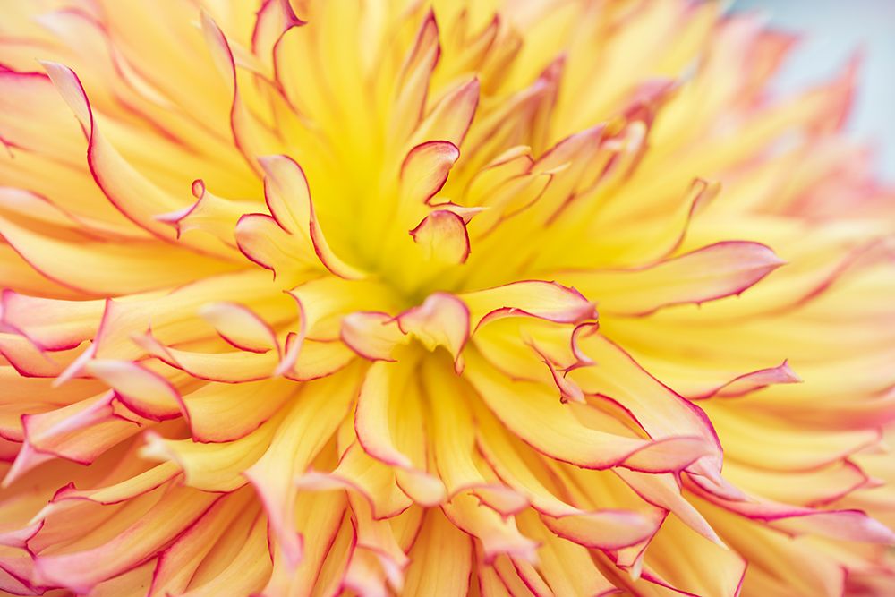 Similar wall art painting: 530966