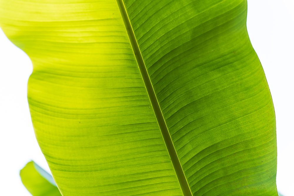 Similar wall art painting: 640034