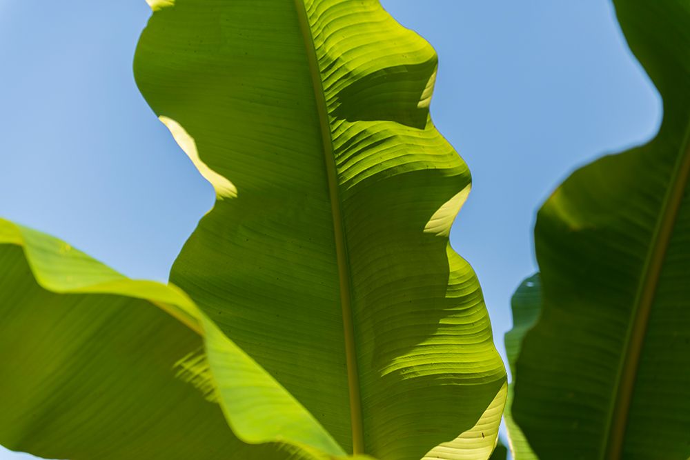 Similar wall art painting: 640035