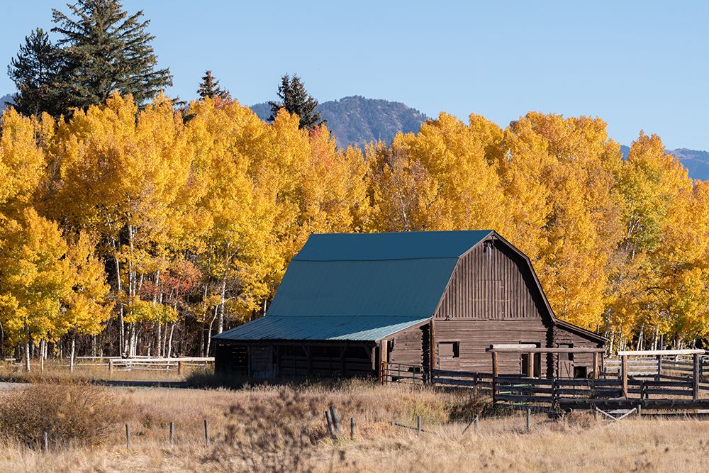 Similar wall art painting: 535705