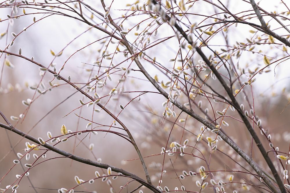 Similar wall art painting: 640039