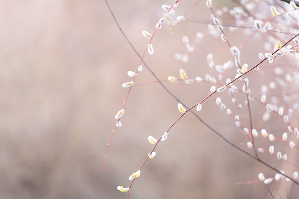 Similar wall art painting: 640040