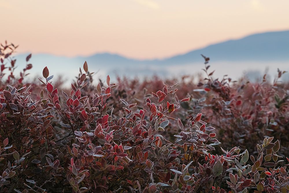 Similar wall art painting: 640042