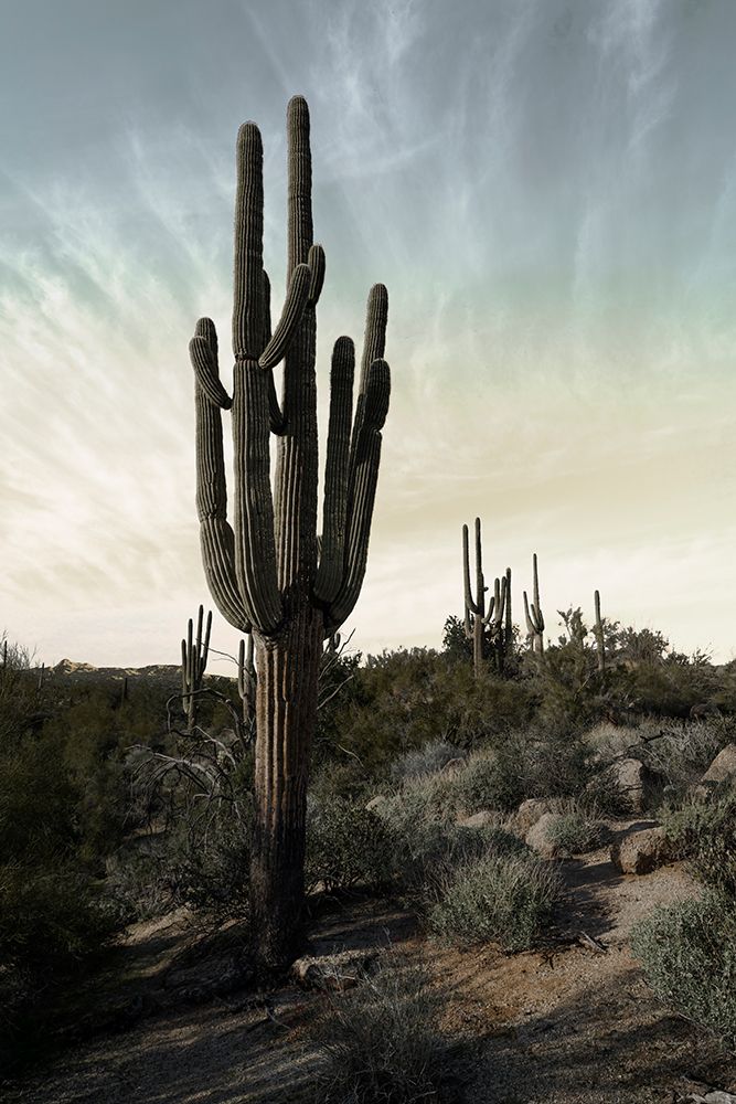 Similar wall art painting: 640107