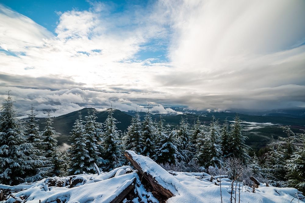 Similar wall art painting: 263031