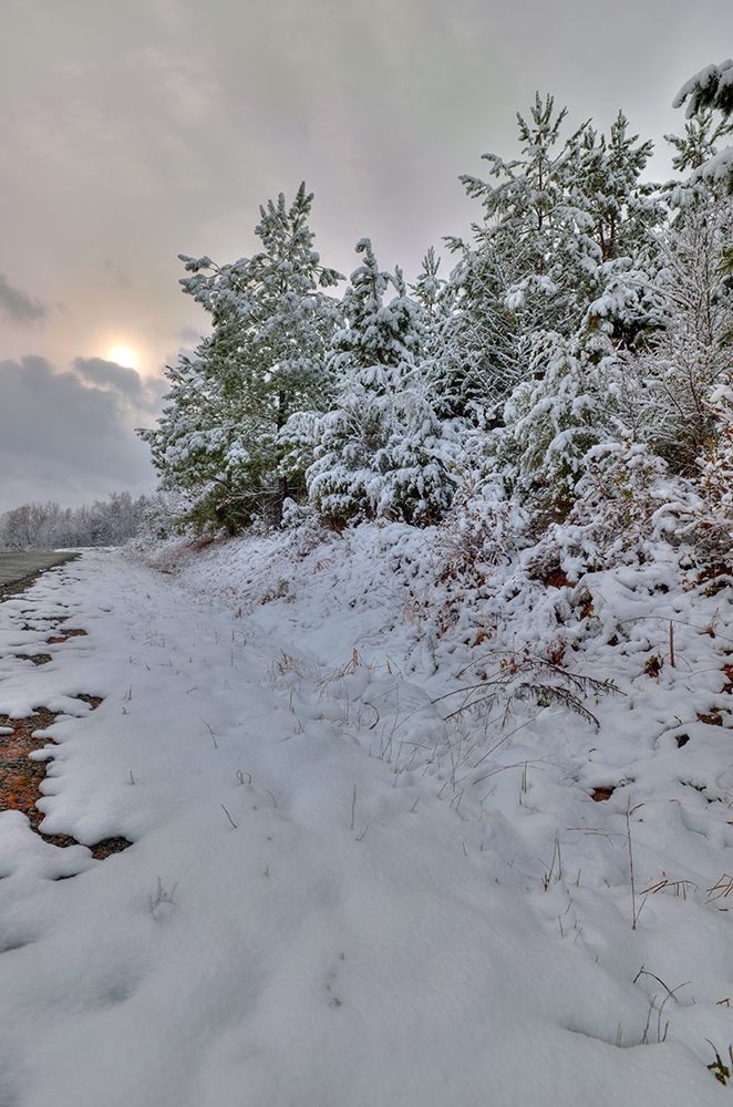 Similar wall art painting: 263032