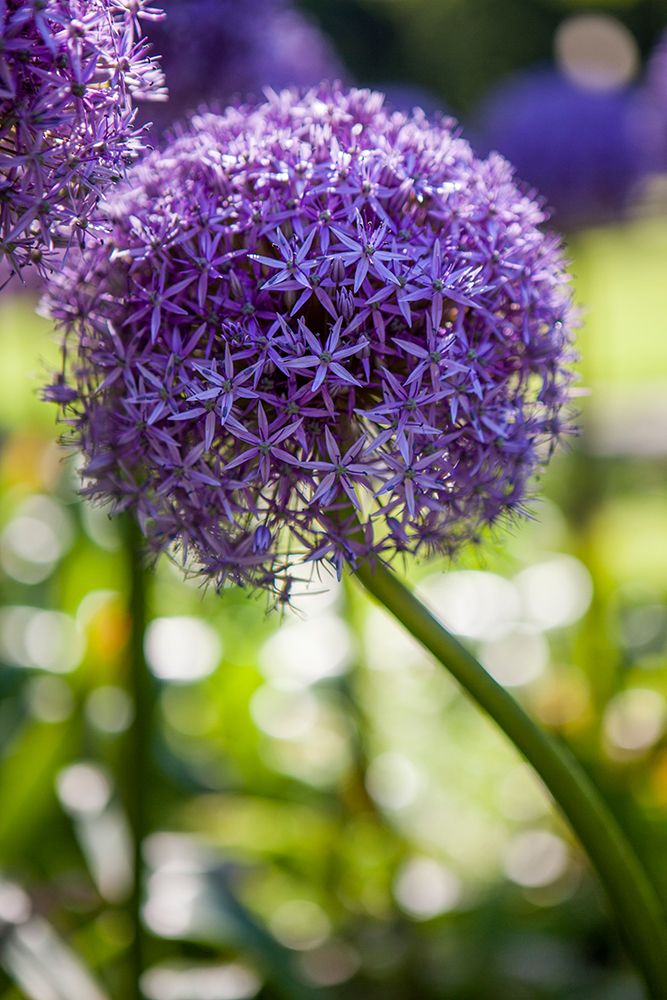 Similar wall art painting: 658054