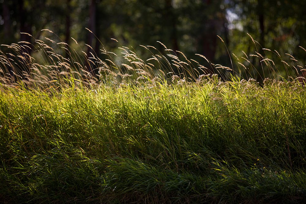 Similar wall art painting: 635614