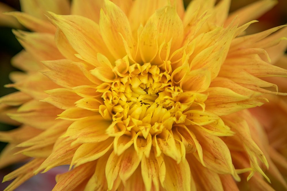 Similar wall art painting: 213577