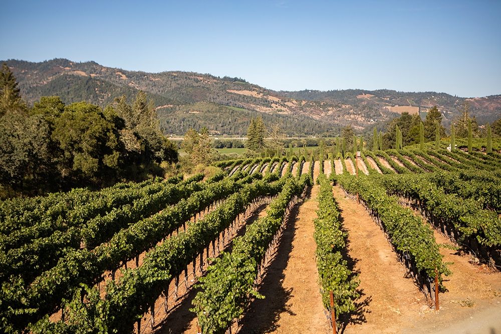 Similar wall art painting: 359786