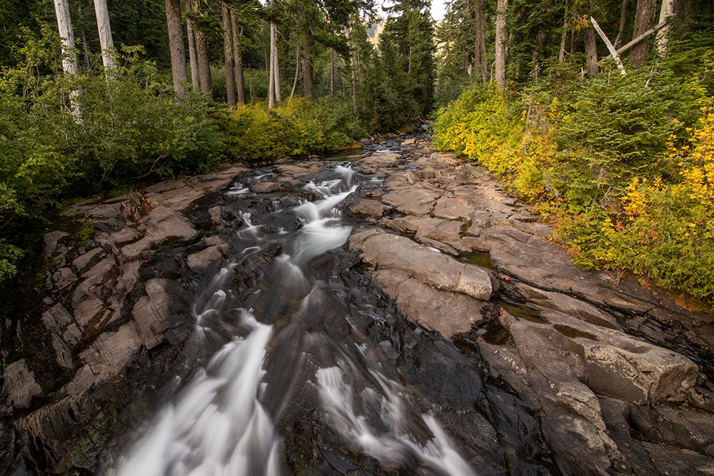 Similar wall art painting: 640110