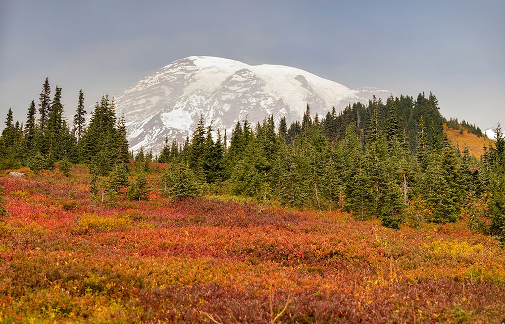 Wall Art Painting id:640111, Name: Above the Ridge, Artist: Matheson, Aaron