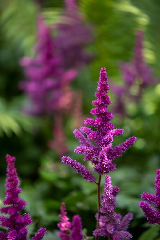 Similar wall art painting: 640115