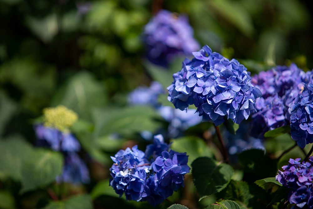 Similar wall art painting: 640116