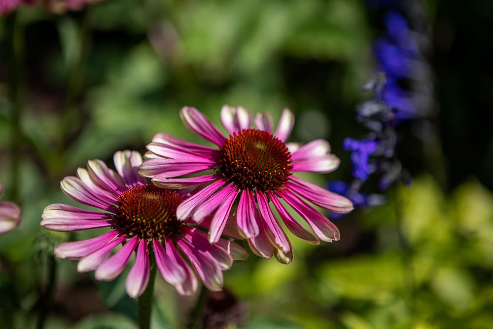 Similar wall art painting: 640117