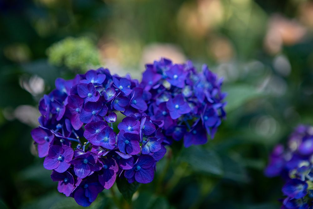 Similar wall art painting: 640120