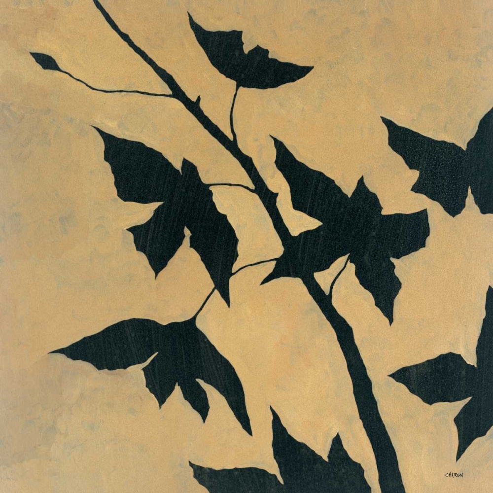 Wall Art Painting id:170459, Name: Blossoms II, Artist: Charon, Robert