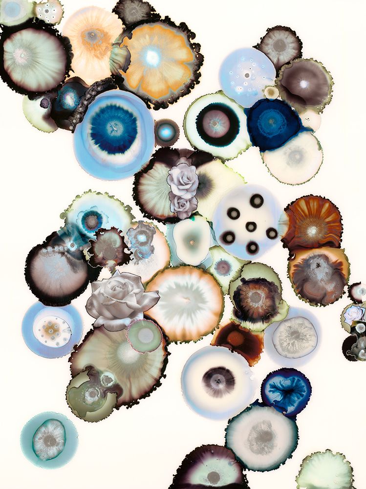 Art Print: Colorblind