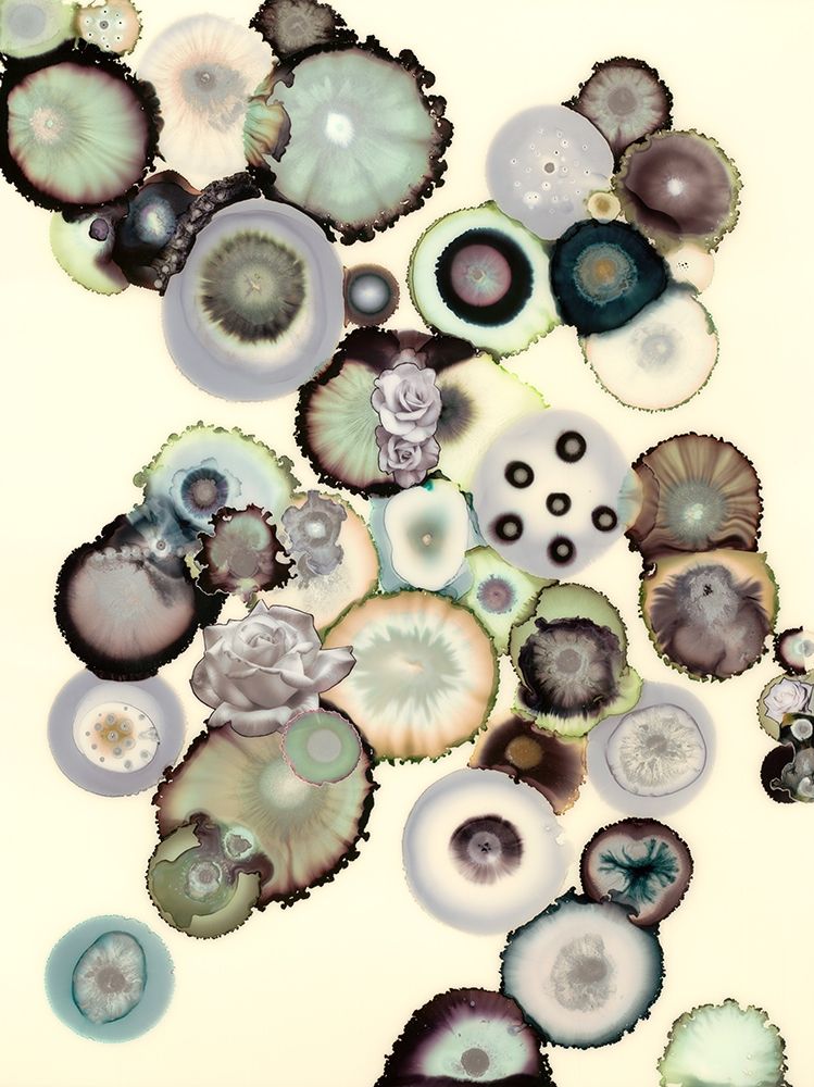 Similar wall art painting: 359852