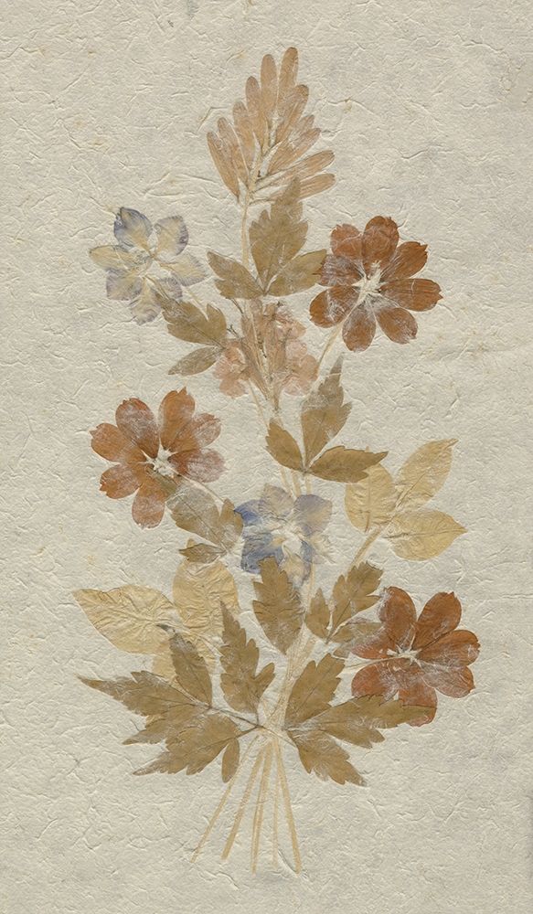 Wall Art Painting id:198189, Name: Delicate Dried Flowers arrangement on rice paper , Artist: anonymous