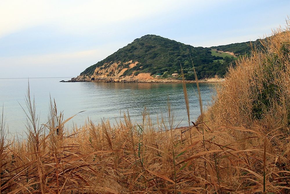 Wall Art Painting id:195443, Name: Relaxing view on the green hill, Artist: Giovanni, Saiu