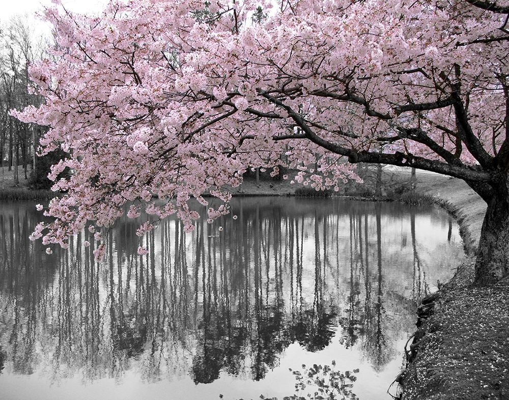 Similar wall art painting: 240360