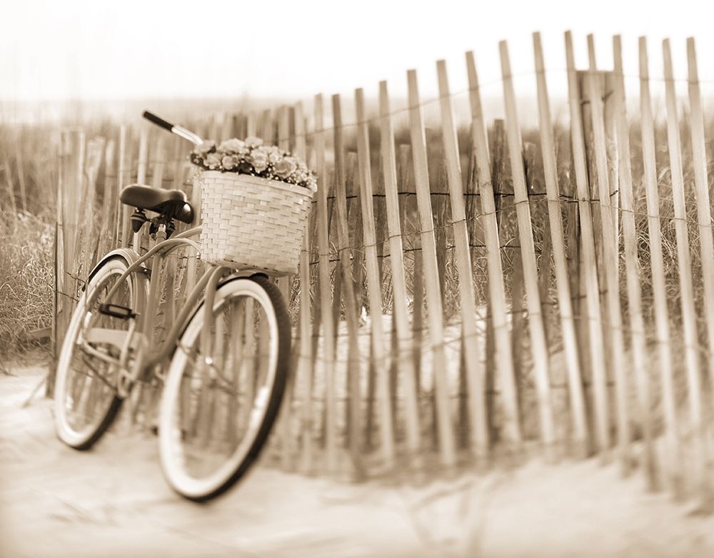 Wall Art Painting id:234171, Name: Bike by Beach Fence, Artist: Anonymous