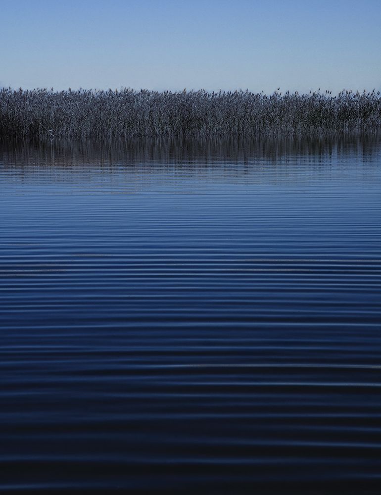 Wall Art Painting id:240370, Name: Still Waters II, Artist: Anonymous