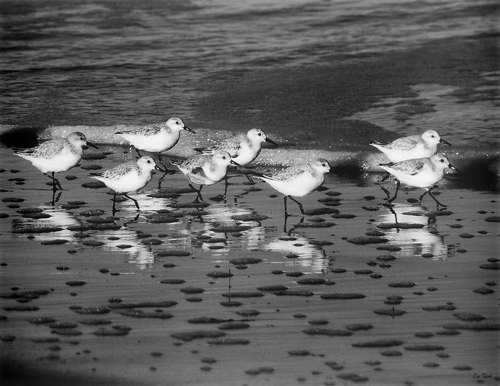 Similar wall art painting: 240393