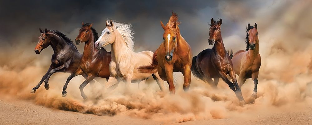 Similar wall art painting: 240436