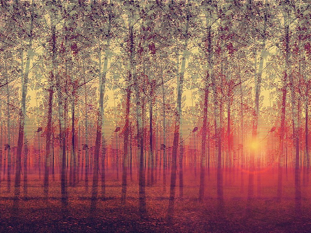 Wall Art Painting id:240440, Name: Poplar Trees in the Setting Sun, Artist: Anonymous