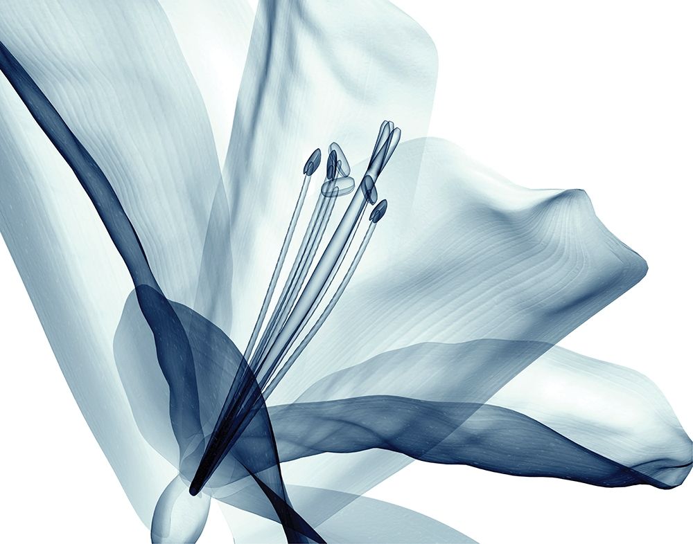 Similar wall art painting: 234290